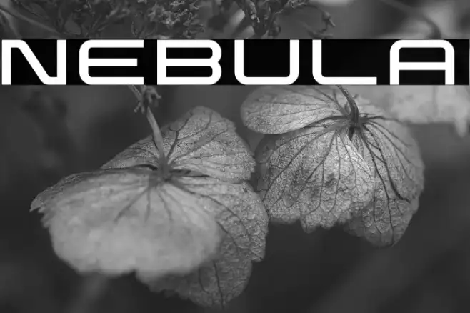 Nebula Example 1