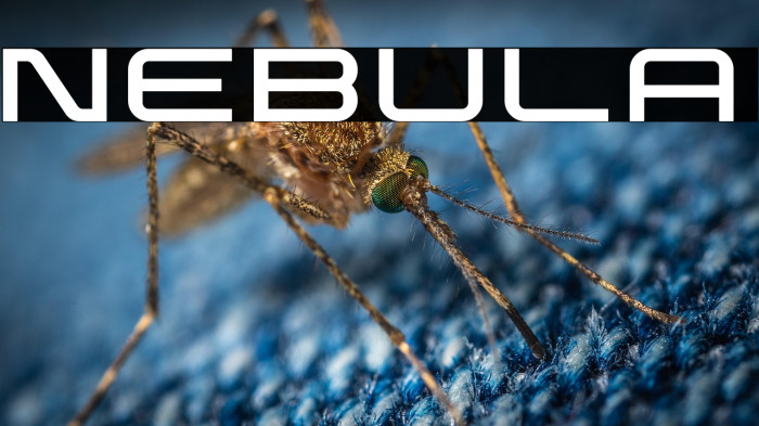 Nebula Example 2