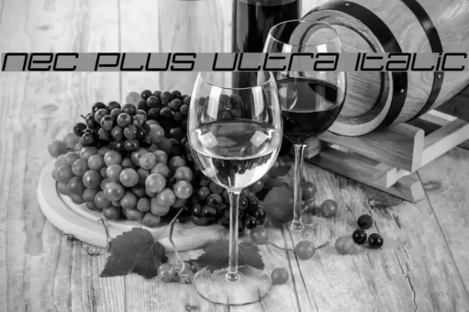 Nec plus ultra Italic Font examples