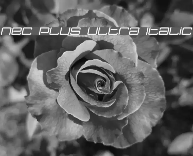 Nec plus ultra Italic Font examples