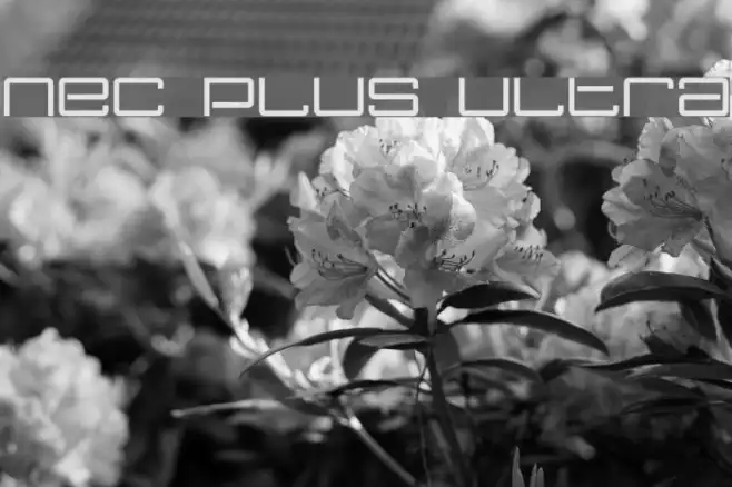 Nec plus ultra Example 2