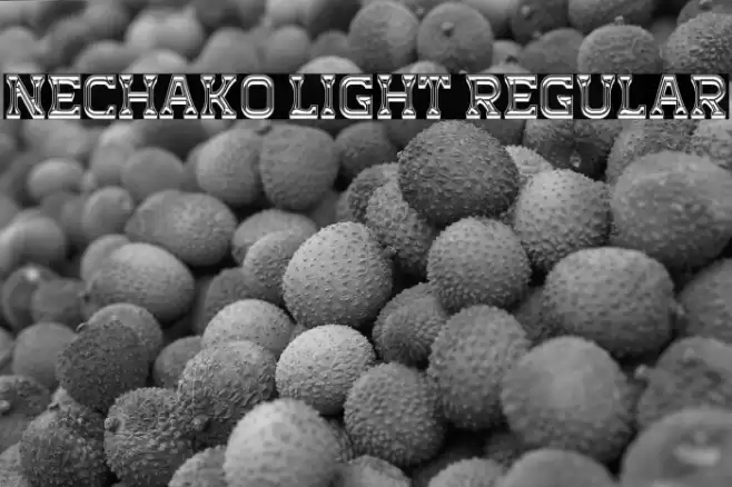 Nechako Light Regular Font examples