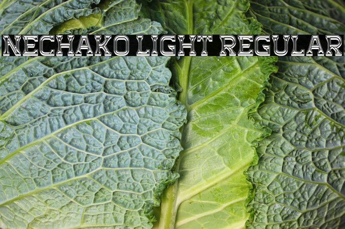 Nechako Light Regular Example 2
