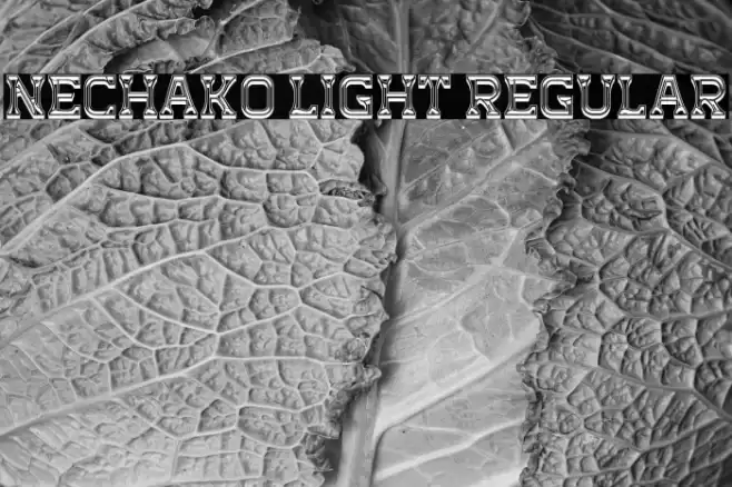 Nechako Light Regular Font examples