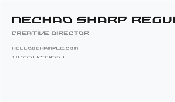 Nechao Sharp Regular Business Card