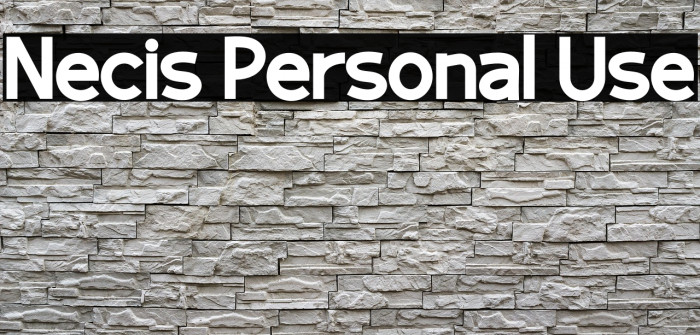 Necis Personal Use Example 1