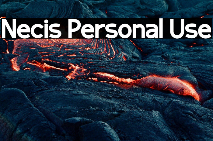 Necis Personal Use Example 2