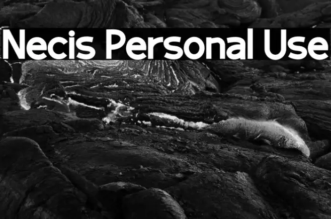 Necis Personal Use Example 2