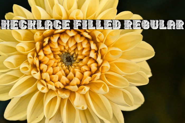 Necklace Filled Regular Example 3