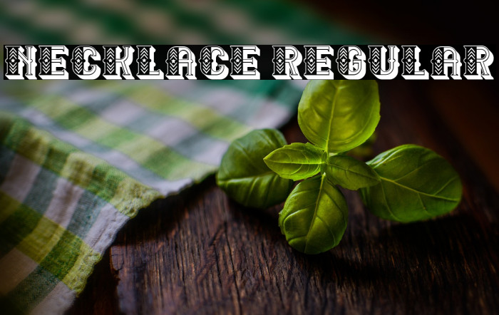 Necklace Regular Example 3