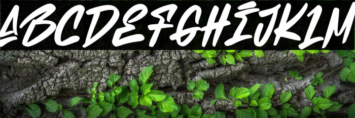 Neckless Starways Example 3