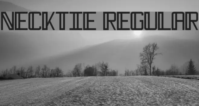 Necktie Regular Example 1