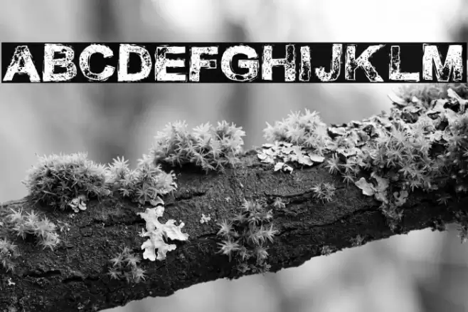 Necrotype Font examples