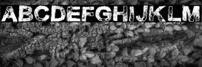 Necrotype Font examples