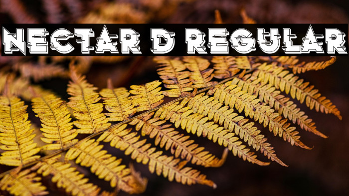 Nectar 3D Regular Example 2