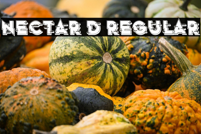 Nectar 3D Regular Example 3