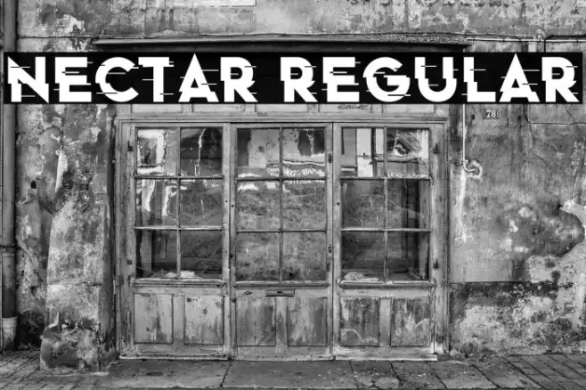 Nectar Regular Example 1