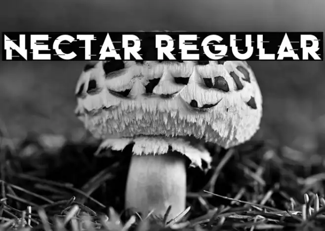 Nectar Regular Example 2