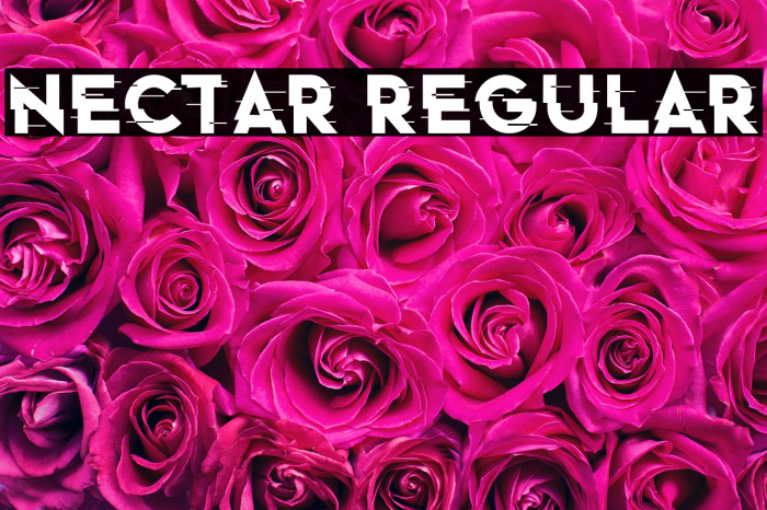 Nectar Regular Example 3