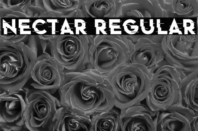 Nectar Regular Example 3