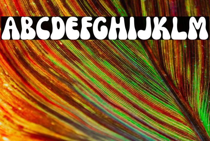 Nectarine DEMO Regular Example 1