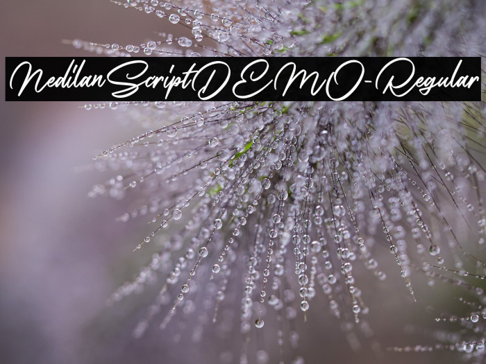 NedilanScriptDEMO-Regular Example 1