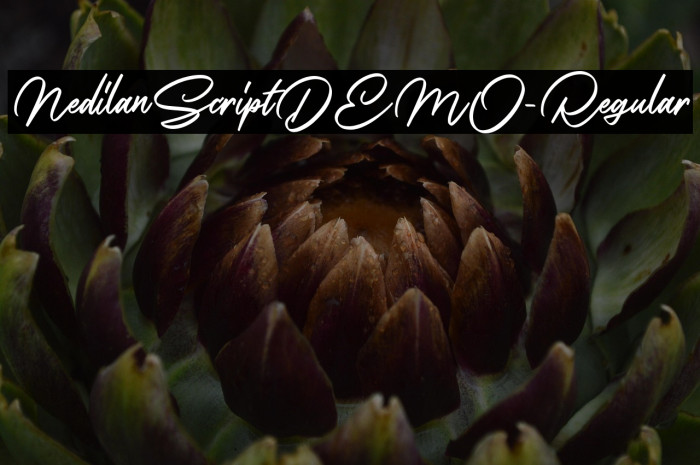NedilanScriptDEMO-Regular Example 3