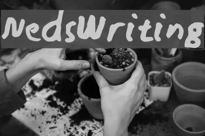 NedsWriting Font examples