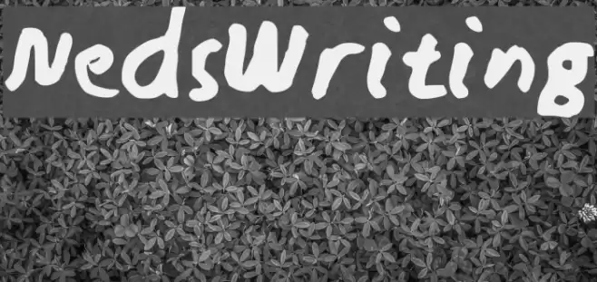 NedsWriting Font examples