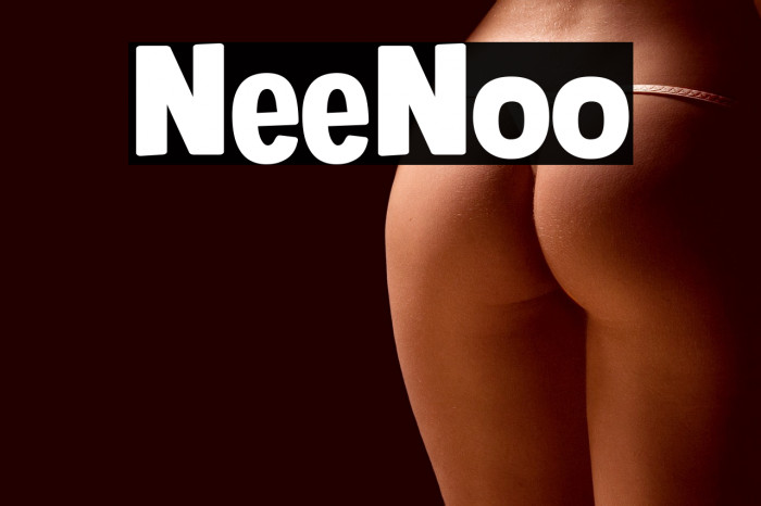 NeeNoo Example 1