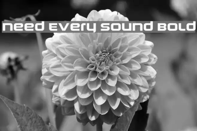 Need Every Sound Bold Example 2