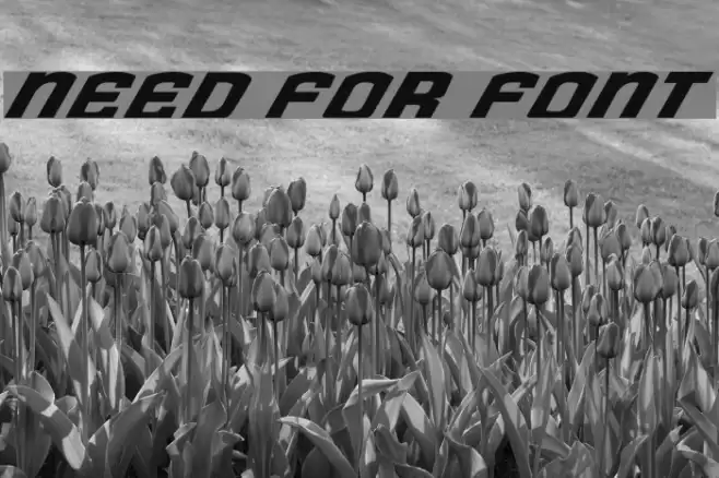 Need for Font Font examples