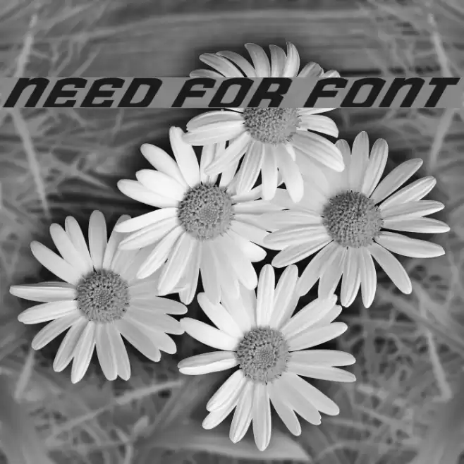 Need for Font Font examples