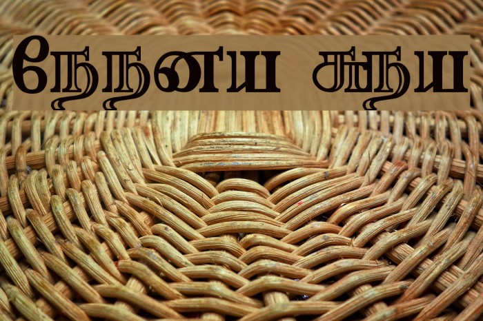 Needhimathi Regular Font examples