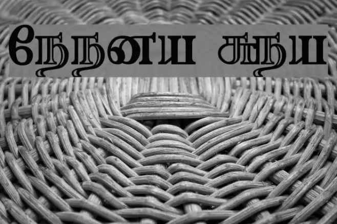 Needhimathi Regular Example 1