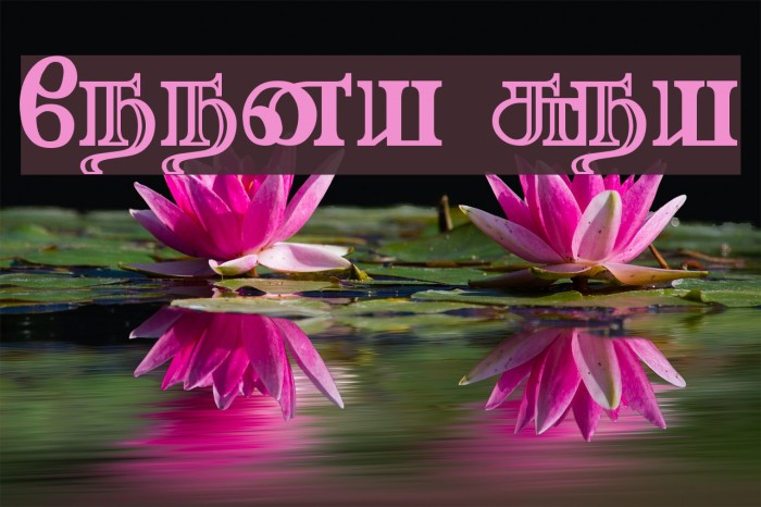 Needhimathi Regular Font examples
