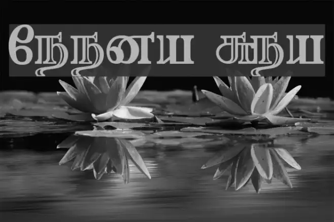 Needhimathi Regular Example 2