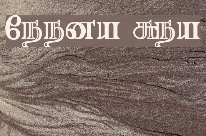 Needhimathi Regular Font examples