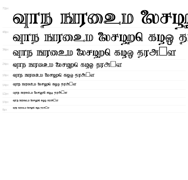 Needhimathi Regular Waterfall