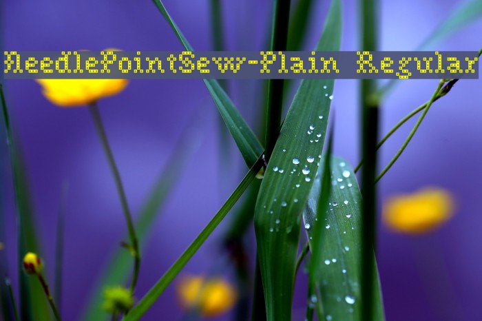 NeedlePointSew-Plain Regular Font examples