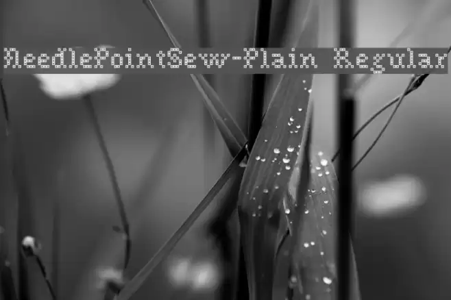 NeedlePointSew-Plain Regular フォント examples