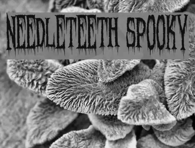 Needleteeth Spooky Font examples