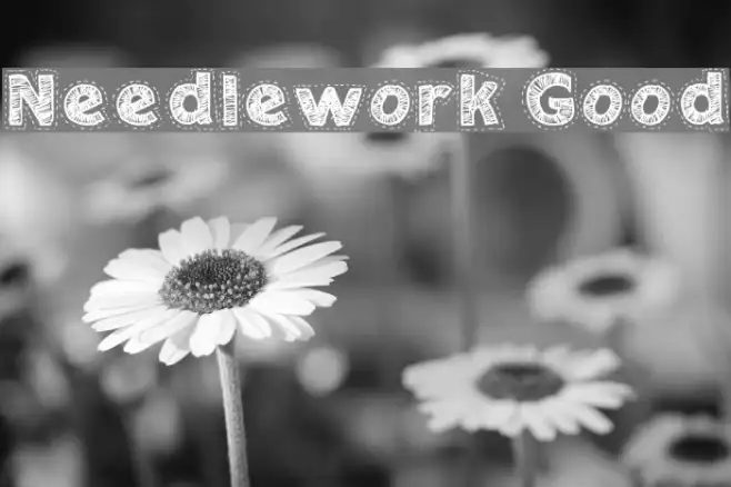 Needlework Good Example 1