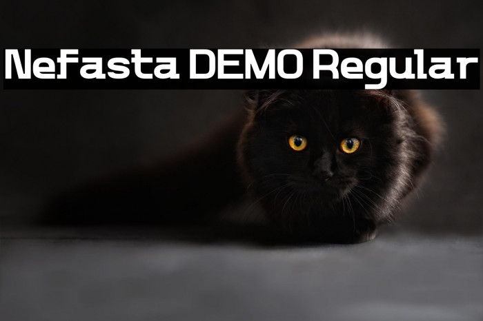 Nefasta DEMO Regular Example 2
