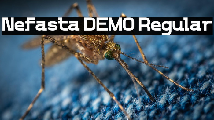 Nefasta DEMO Regular Example 3