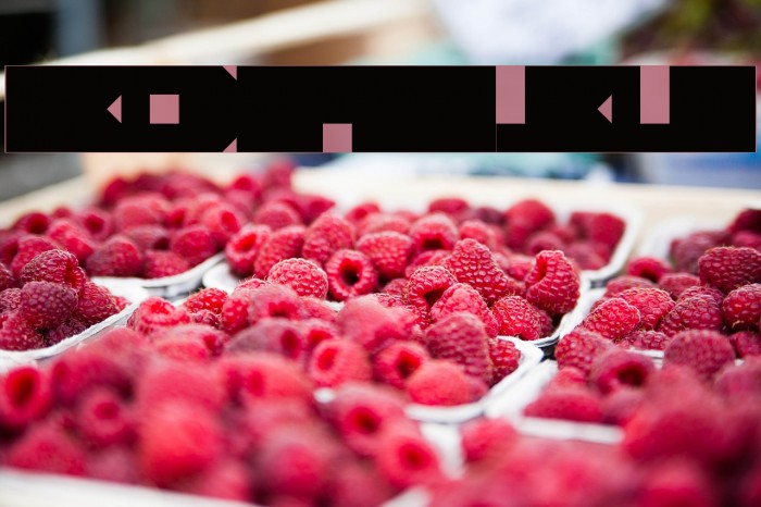 Nefertina Font examples