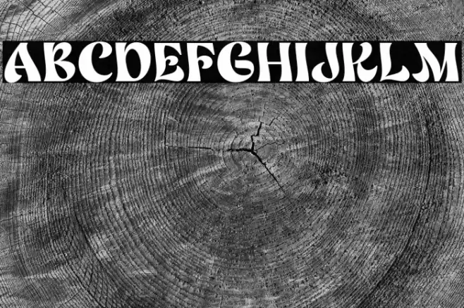 NefiltDEMO Font examples