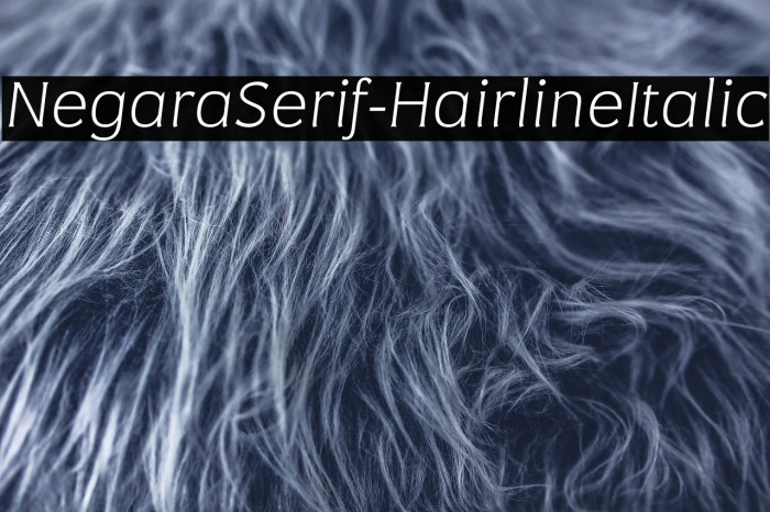 NegaraSerif-HairlineItalic Example 1