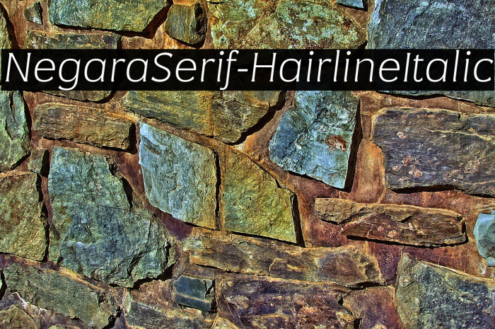 NegaraSerif-HairlineItalic Example 3