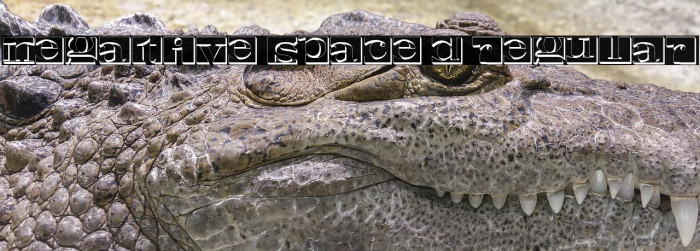 Negative Space 3D Regular Example 3